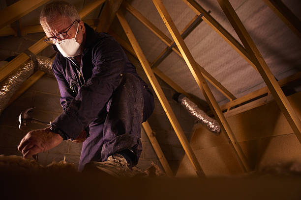 Best Insulation Installation Services in Los Alamitos, CA